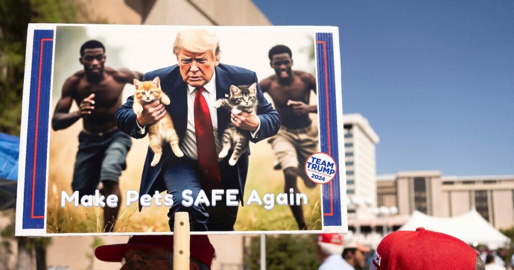 Une pancarte générée par l'intelligence artificielle de Donald Trump portant des chatons, à Tucson, dans l'Arizona, le 12 septembre 2024