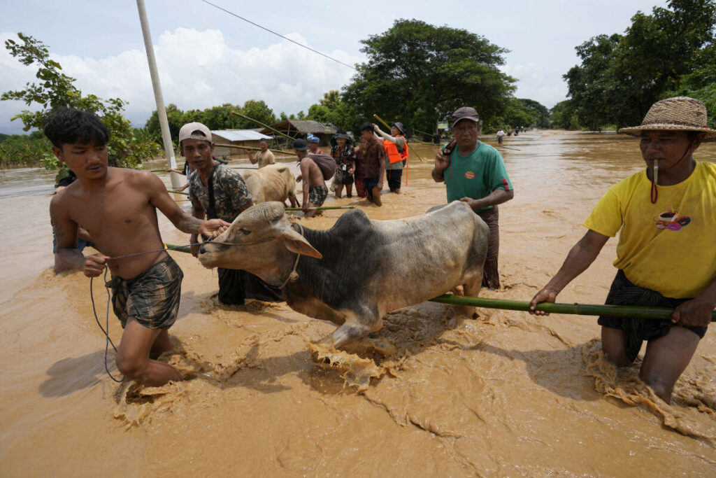 Birmanie : la junte se résout à demander de l’aide étrangère après les inondations meurtrières