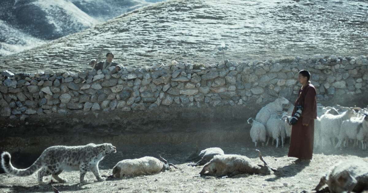 “Le Léopard des neiges”, une fable tibétaine sur l’humain, la nature et la transcendance