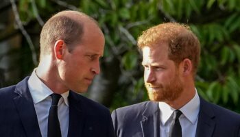 Royal family news latest: Harry ‘on mission’ to mend relationship with UK as he turns 40