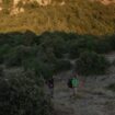 Massif de la Sainte-Baume : un lieu propice aux randonnées