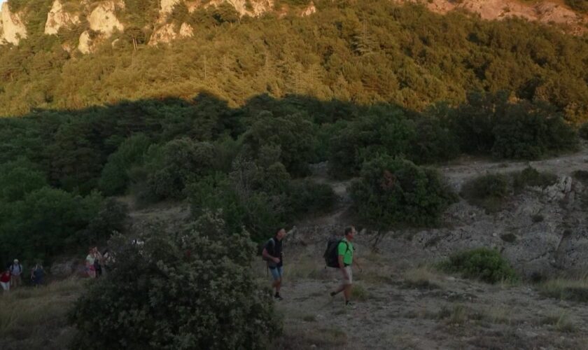 Massif de la Sainte-Baume : un lieu propice aux randonnées