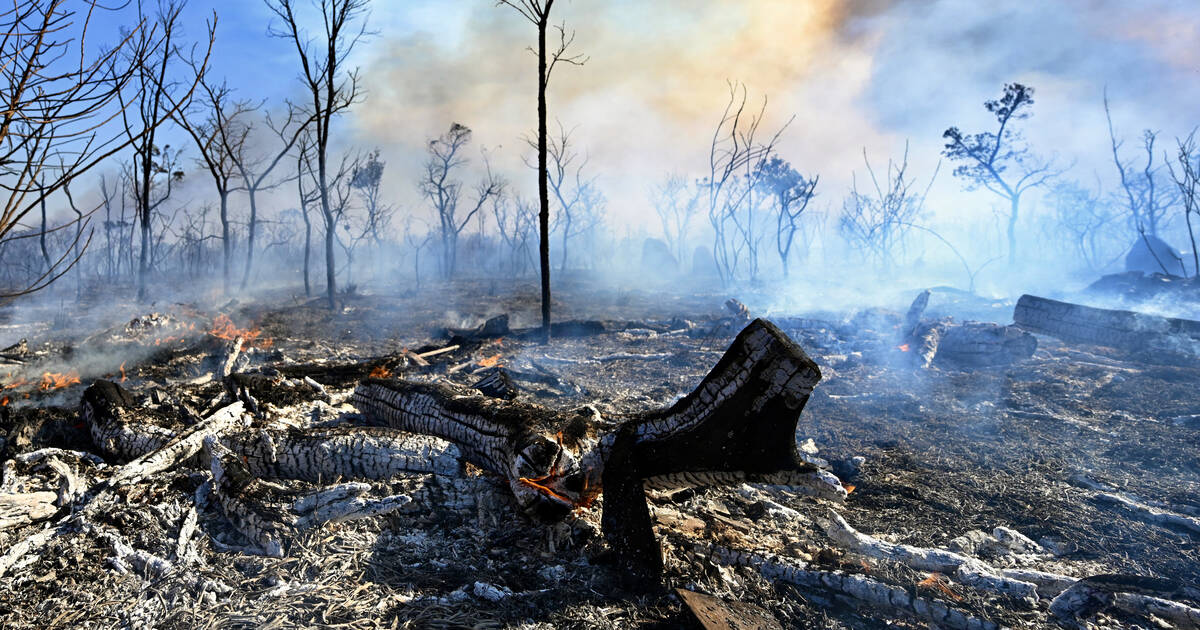 Au Brésil, le parc national de Brasilia touché à son tour par un incendie