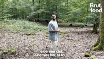 VIDEO. L’art de la cueillette avec le finaliste de Top Chef Clotaire Poirier