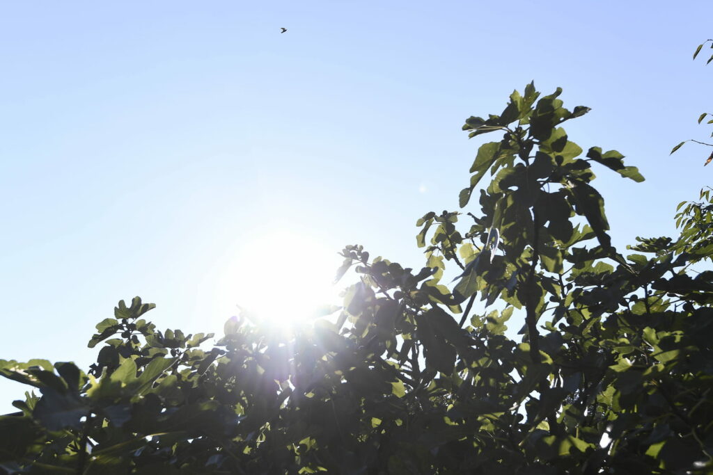 Météo : la chaleur revient, mais attention aux orages et à la pluie dès mercredi dans ces régions