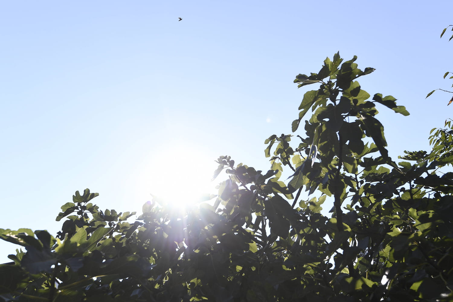 Météo : la chaleur revient, mais attention aux orages et à la pluie dès mercredi dans ces régions