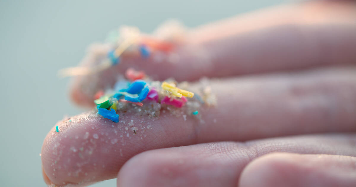 Des microplastiques pénètreraient dans notre cerveau quand nous respirons