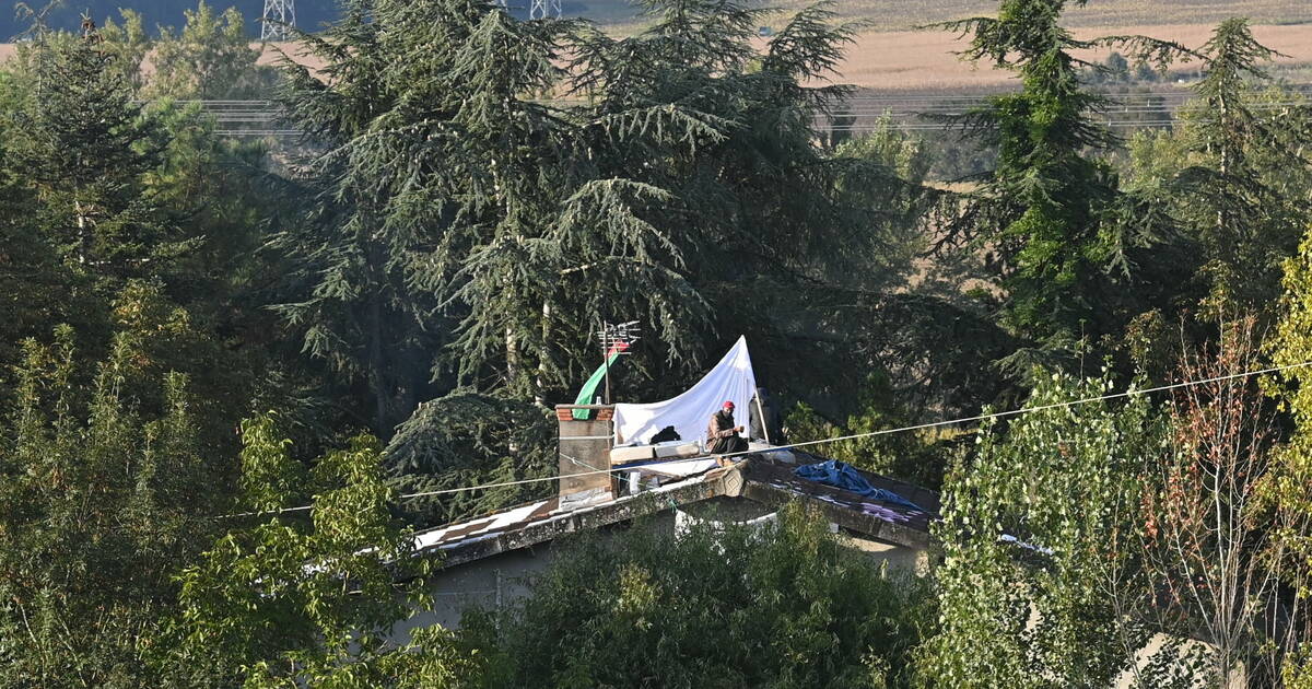 A69 : la dernière ZAD évacuée, les ultimes arbres sur le tracé de l’autoroute bientôt abattus