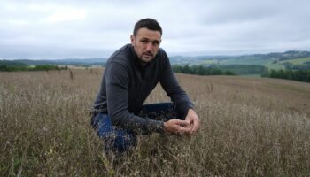 REPORTAGE. "On n'est pas des voyous" : dans le Gers, la frénésie de la coriandre, dopée aux subventions, sème la zizanie chez les agriculteurs