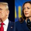 New Trump website reveals how much money a Harris presidency could cost taxpayers