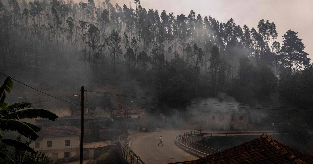 En proie à des feux de forêt, le Portugal dénombre sept morts et sollicite l’aide européenne