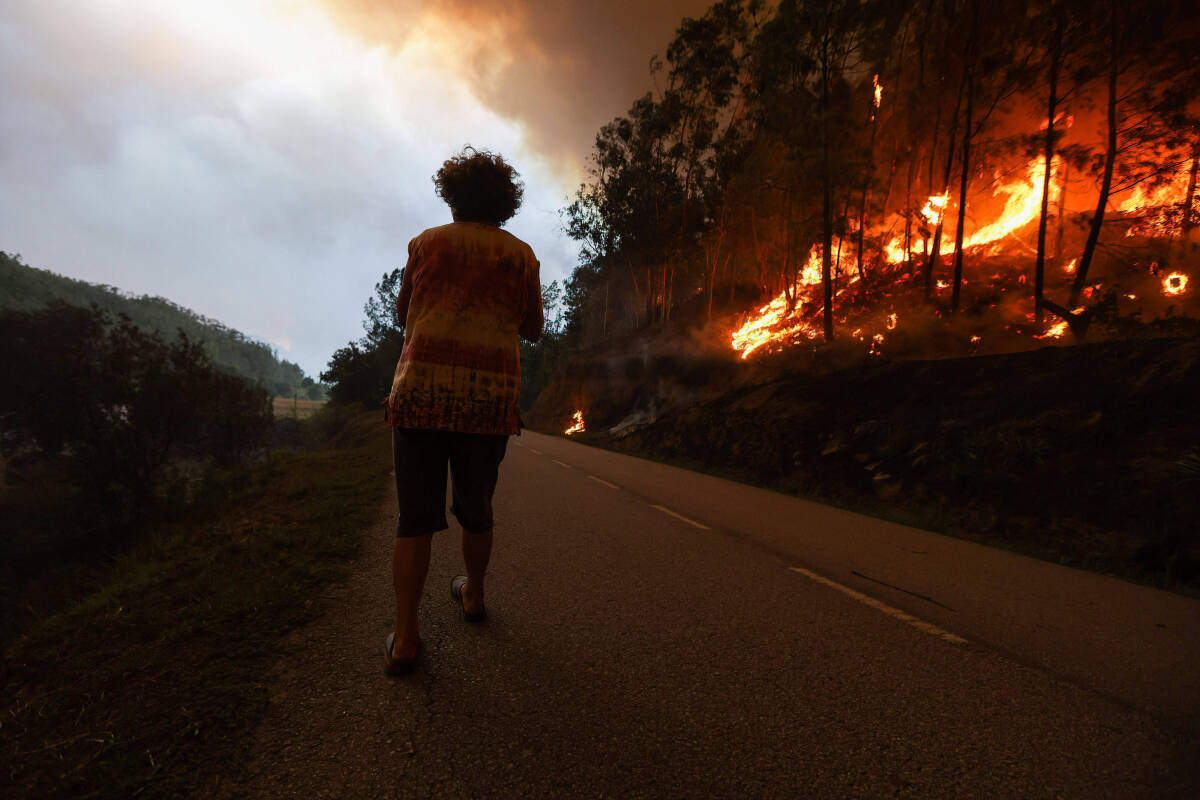 « Je n’ai jamais vu ça » : seaux à la main, des habitants victimes des incendies au Portugal témoignent