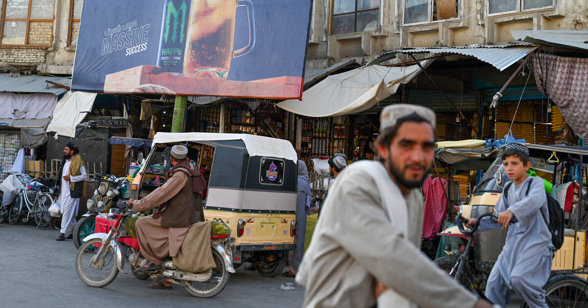 En Afghanistan, les boissons énergisantes, remède du pauvre