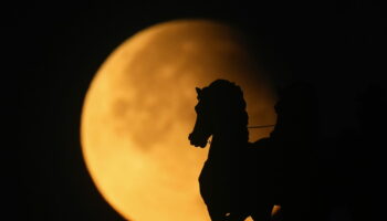 Éclipse lunaire : le spectacle en vidéo, à quelle date tombe la prochaine ?