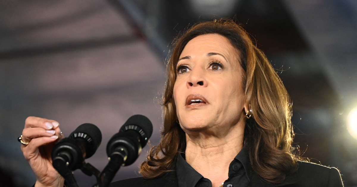 Kamala Harris en campagne en Pennsylvanie le 13 septembre 2024