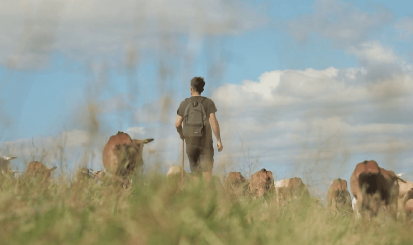 Agriculture : à cause du réchauffement climatique, le fromage "Picodon" se bat pour garder son AOP