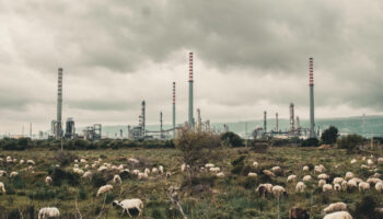 « Toxicily » : un documentaire citoyen contre la folie capitaliste de l’homme