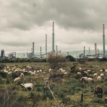 « Toxicily » : un documentaire citoyen contre la folie capitaliste de l’homme