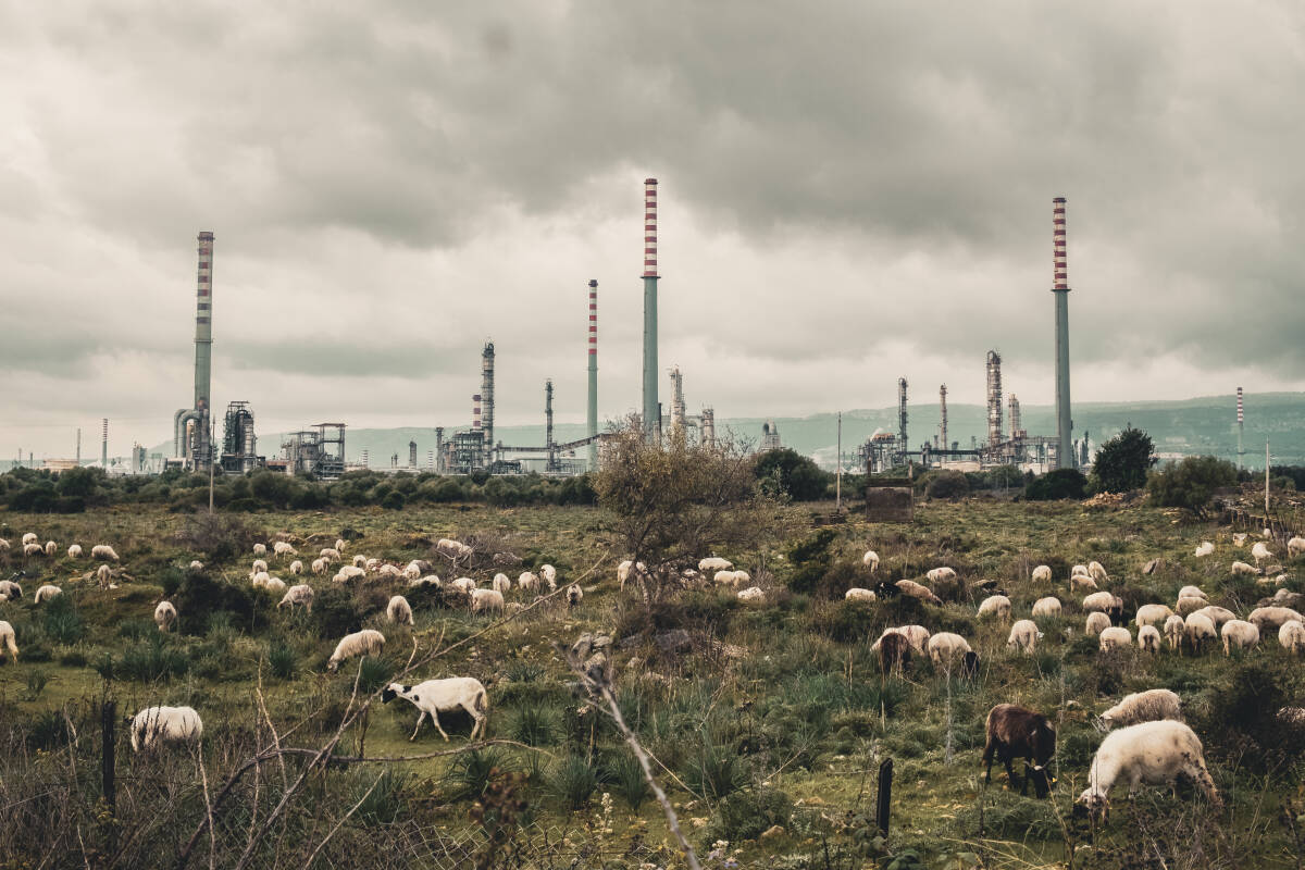 « Toxicily » : un documentaire citoyen contre la folie capitaliste de l’homme