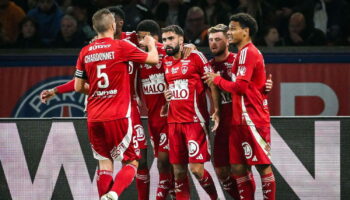 Brest - Sturm Graz : "c'est un peu con"... La crainte d'Eric Roy pour les débuts bretons en Ligue des champions