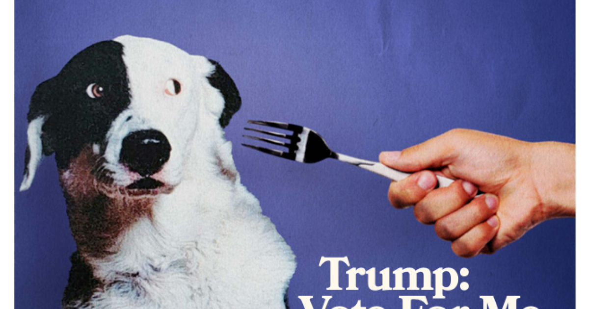 “Ils mangeront votre chien” : cette peur primaire stimulée par Donald Trump