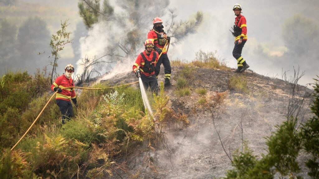 Incendies au Portugal : les fumées vont arriver jusqu’en France et en Espagne, explique Copernicus