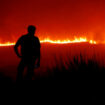 L’origine criminelle des incendies qui ravagent le Portugal, mythe ou réalité ?