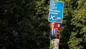 AfD führt in Umfrage, SPD holt auf – Grüne fallen unter Fünf-Prozent-Hürde