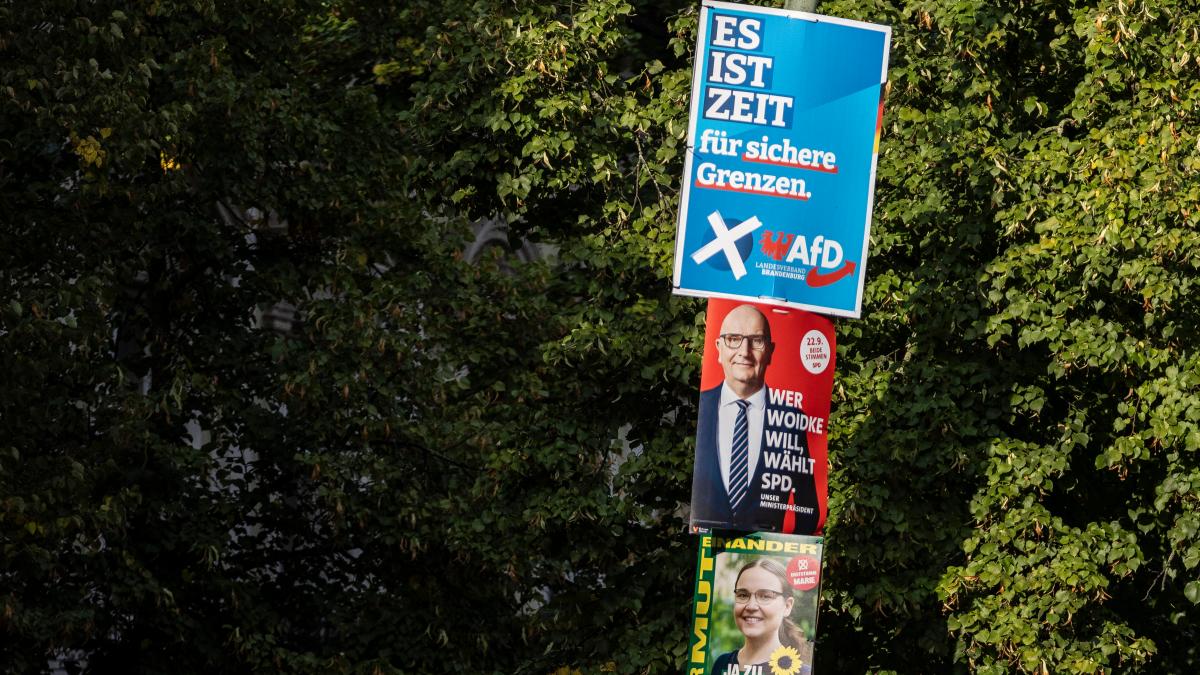 AfD führt in Umfrage, SPD holt auf – Grüne fallen unter Fünf-Prozent-Hürde