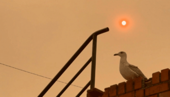 Portugal : les fumées des incendies arrivent en France