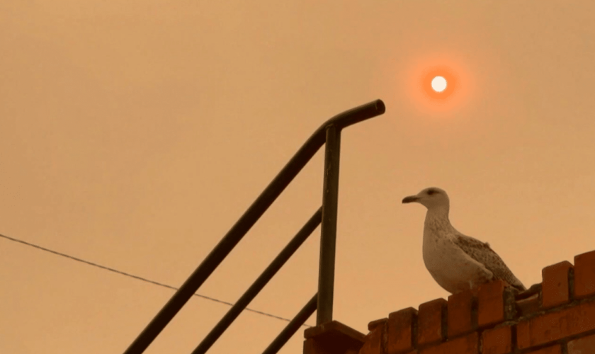 Portugal : les fumées des incendies arrivent en France