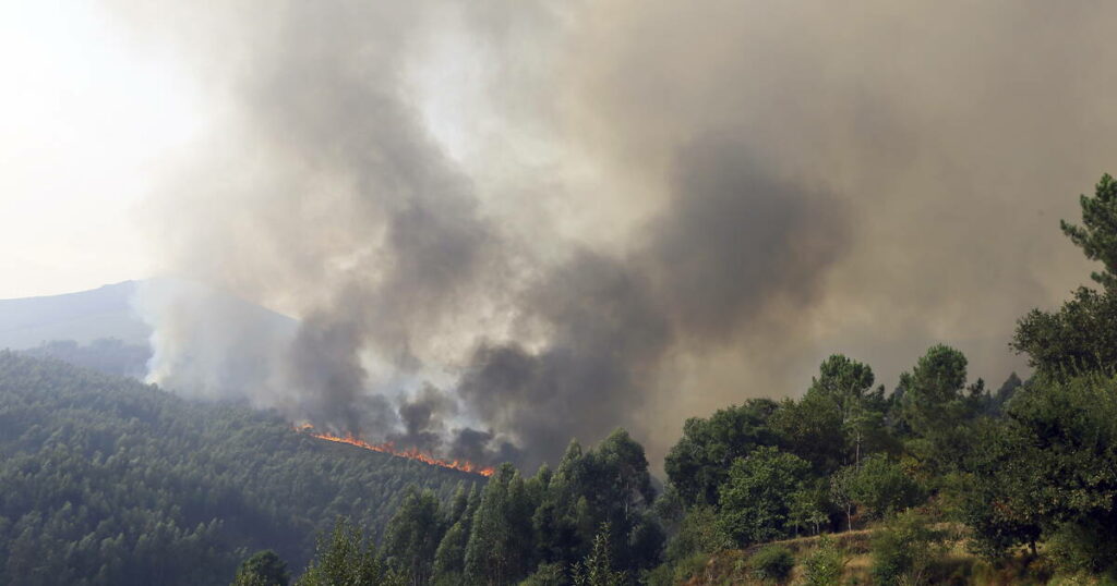 Portugal : les incendies enfin maîtrisés, avec pour bilan cinq morts et 100 000 hectares partis en fumée