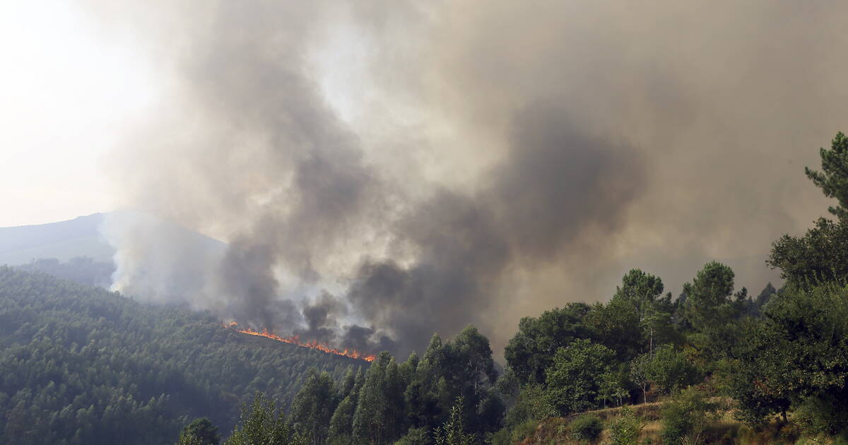 Portugal : les incendies enfin maîtrisés, avec pour bilan cinq morts et 100 000 hectares partis en fumée