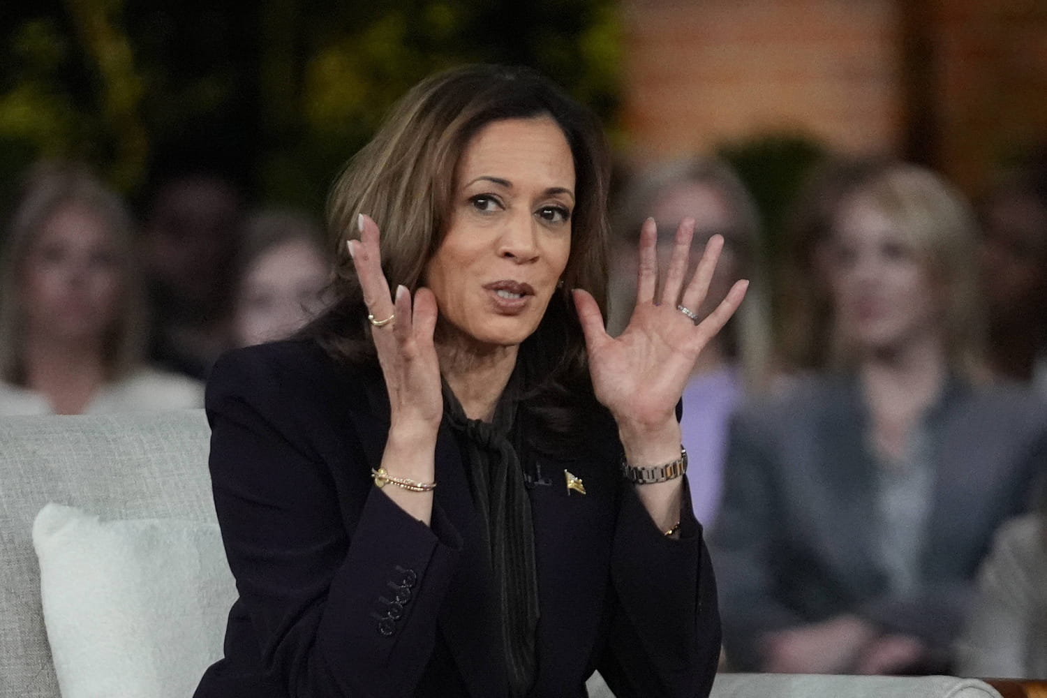 Kamala Harris : petit écart mais sondages favorables, les points forts et les points faibles de son programme