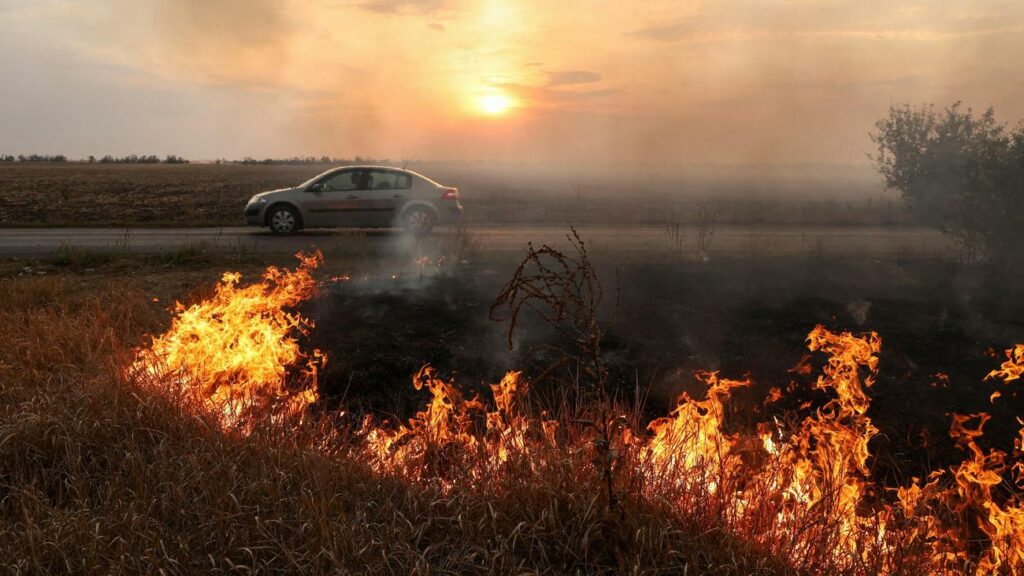 Lage in der Ukraine: Eine Million Tote und Verletzte?