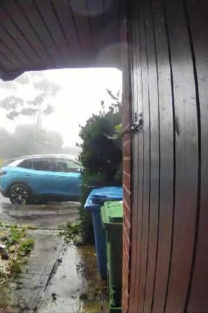 Watch tornado strike Hampshire - bringing down trees, damaging buildings