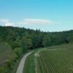 Patrimoine : à la découverte des terres champenoises