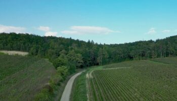 Patrimoine : à la découverte des terres champenoises