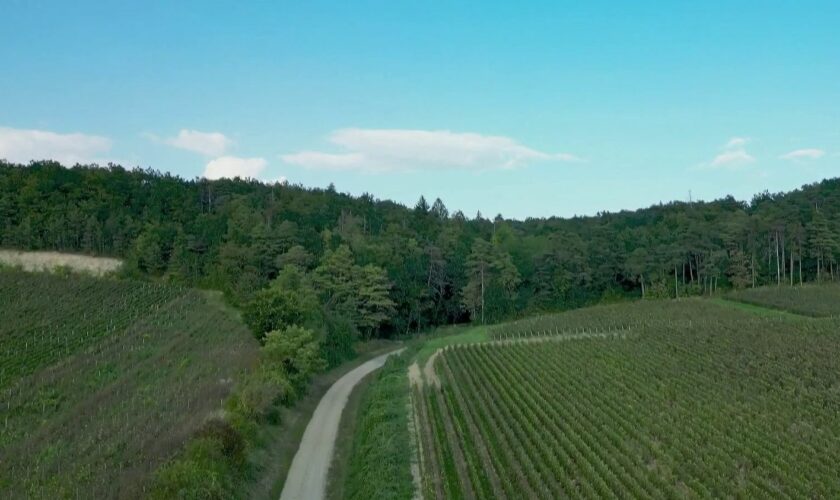 Patrimoine : à la découverte des terres champenoises