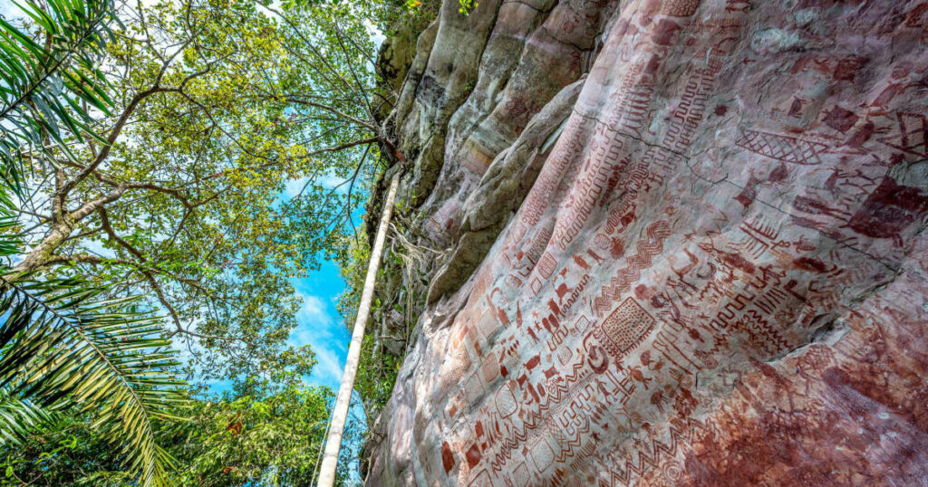 Les cités perdues d’Amazonie bousculent les liens entre agriculture et civilisation