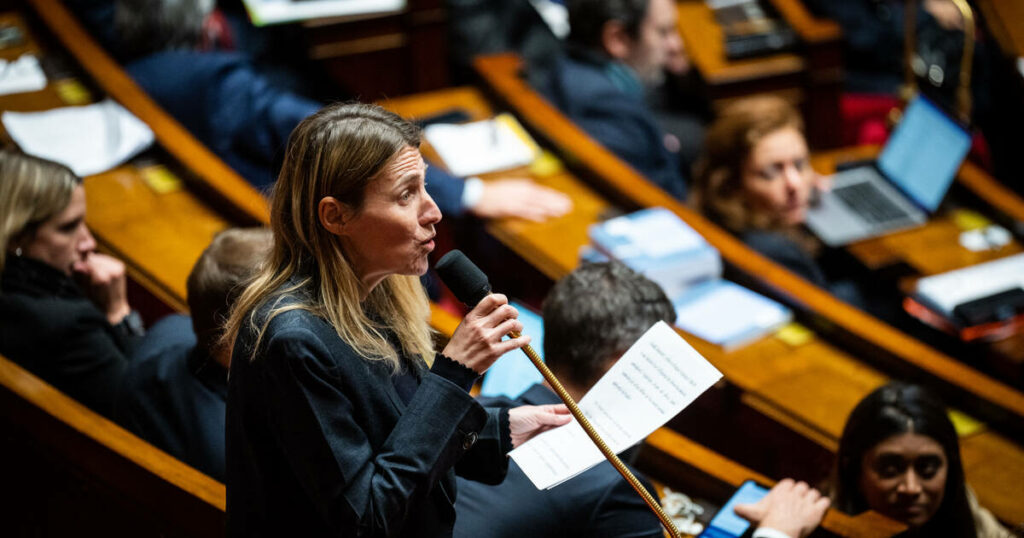 Le ministère du Travail revient à Astrid Panosyan-Bouvet, très critique envers la réforme de l’assurance chômage