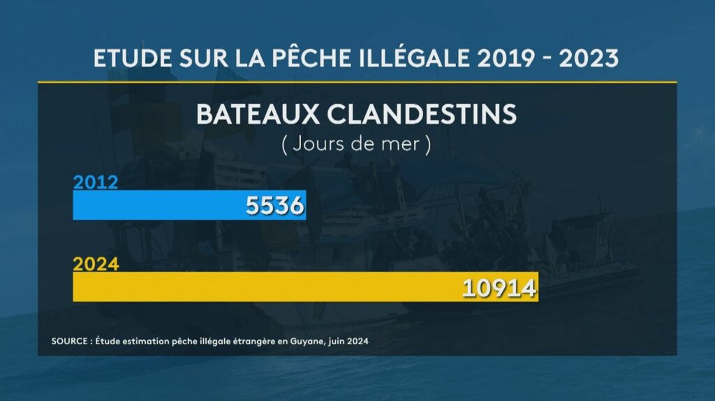 En Guyane, un rapport "accablant" sur la pêche illégale vient d’être rendu public