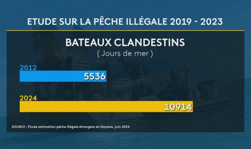 En Guyane, un rapport "accablant" sur la pêche illégale vient d’être rendu public