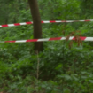 Paris : le corps d’une étudiante retrouvé dans le bois de Boulogne