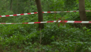 Paris : le corps d’une étudiante retrouvé dans le bois de Boulogne