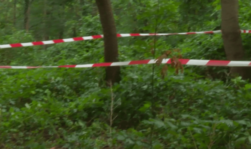 Paris : le corps d’une étudiante retrouvé dans le bois de Boulogne