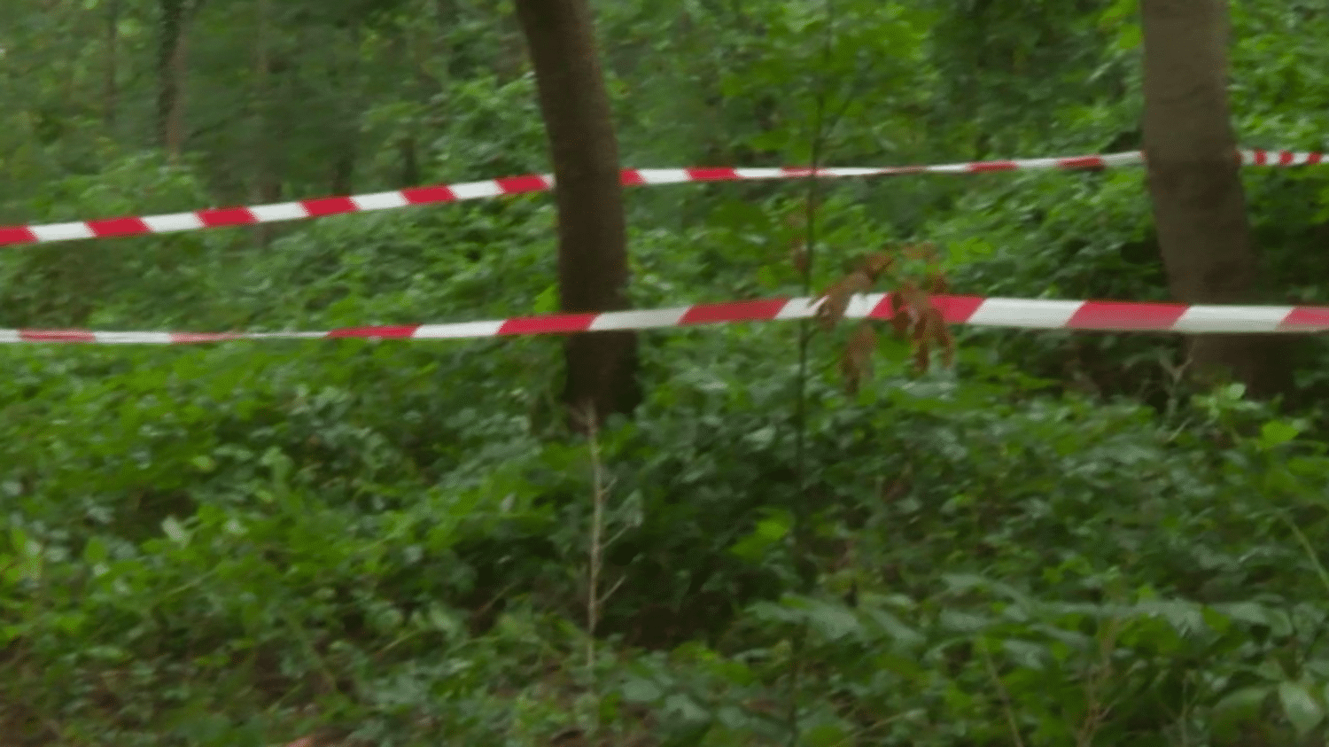 Paris : le corps d’une étudiante retrouvé dans le bois de Boulogne