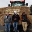 Manifestation d'agriculteurs à Chilly-Mazarin, dans l'Essonne, sur l'A6, le 1er février 2024