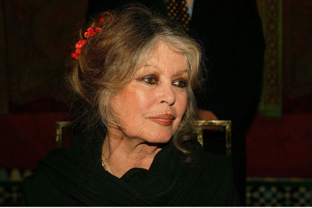 "Je suis en grand deuil" : avant ses 90 ans, Brigitte Bardot se confie sur sa vie "pas rigolote"