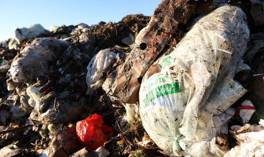 Plastikmüll: US-Bundesstaat verklagt Ölkonzern wegen Plastikverschmutzung